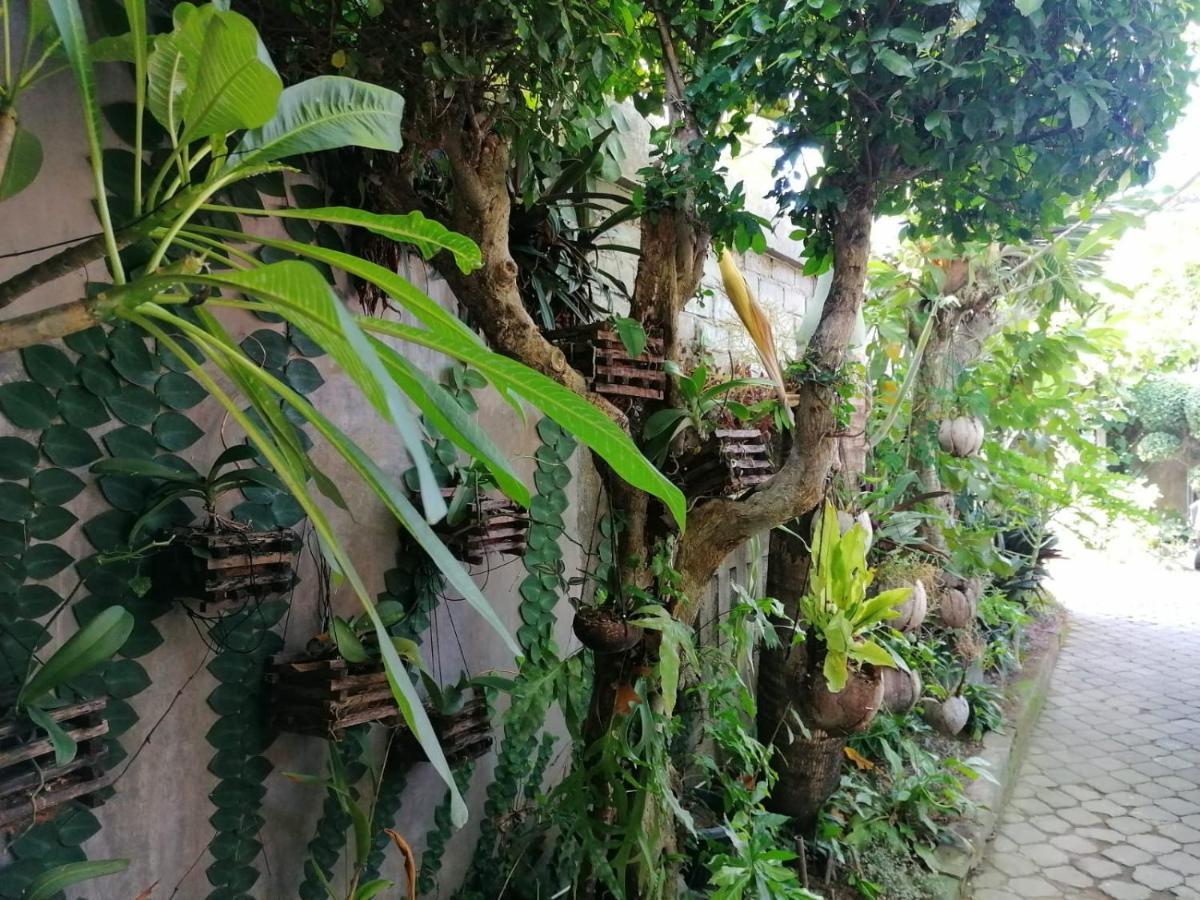 Coliving Bali Sweet Home Kost Lengkap Di Tabanan Kota Εξωτερικό φωτογραφία