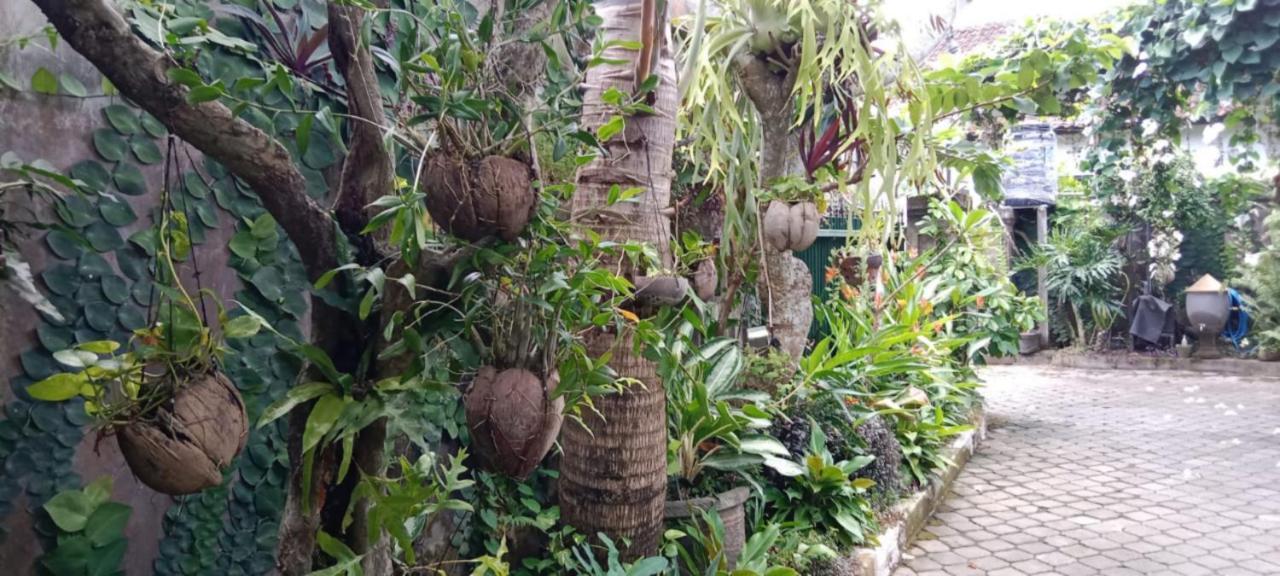 Coliving Bali Sweet Home Kost Lengkap Di Tabanan Kota Εξωτερικό φωτογραφία