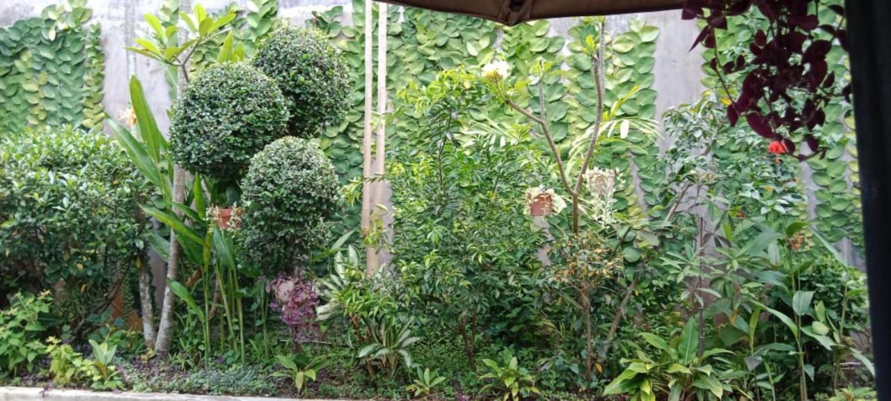 Coliving Bali Sweet Home Kost Lengkap Di Tabanan Kota Εξωτερικό φωτογραφία