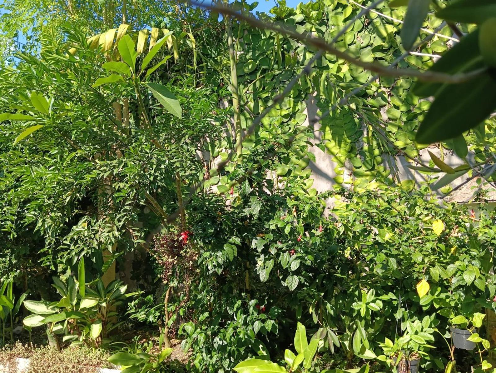Coliving Bali Sweet Home Kost Lengkap Di Tabanan Kota Εξωτερικό φωτογραφία