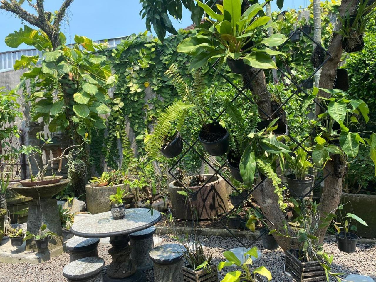 Coliving Bali Sweet Home Kost Lengkap Di Tabanan Kota Εξωτερικό φωτογραφία