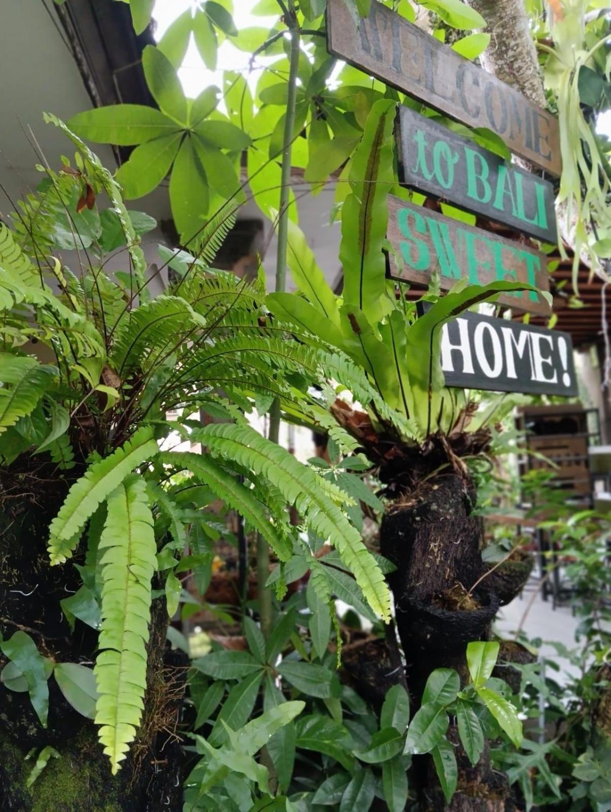 Coliving Bali Sweet Home Kost Lengkap Di Tabanan Kota Εξωτερικό φωτογραφία